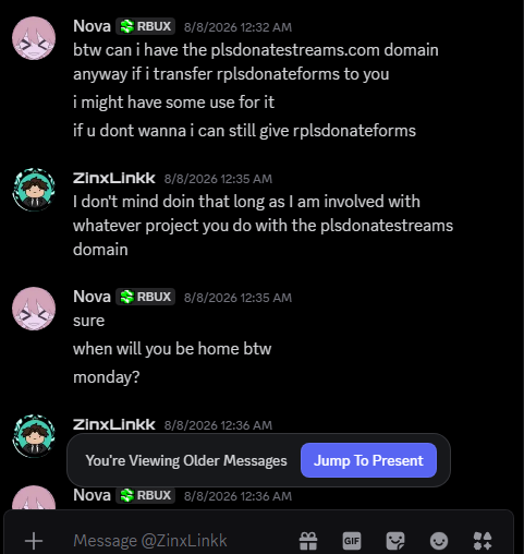 Chat log discussing domain